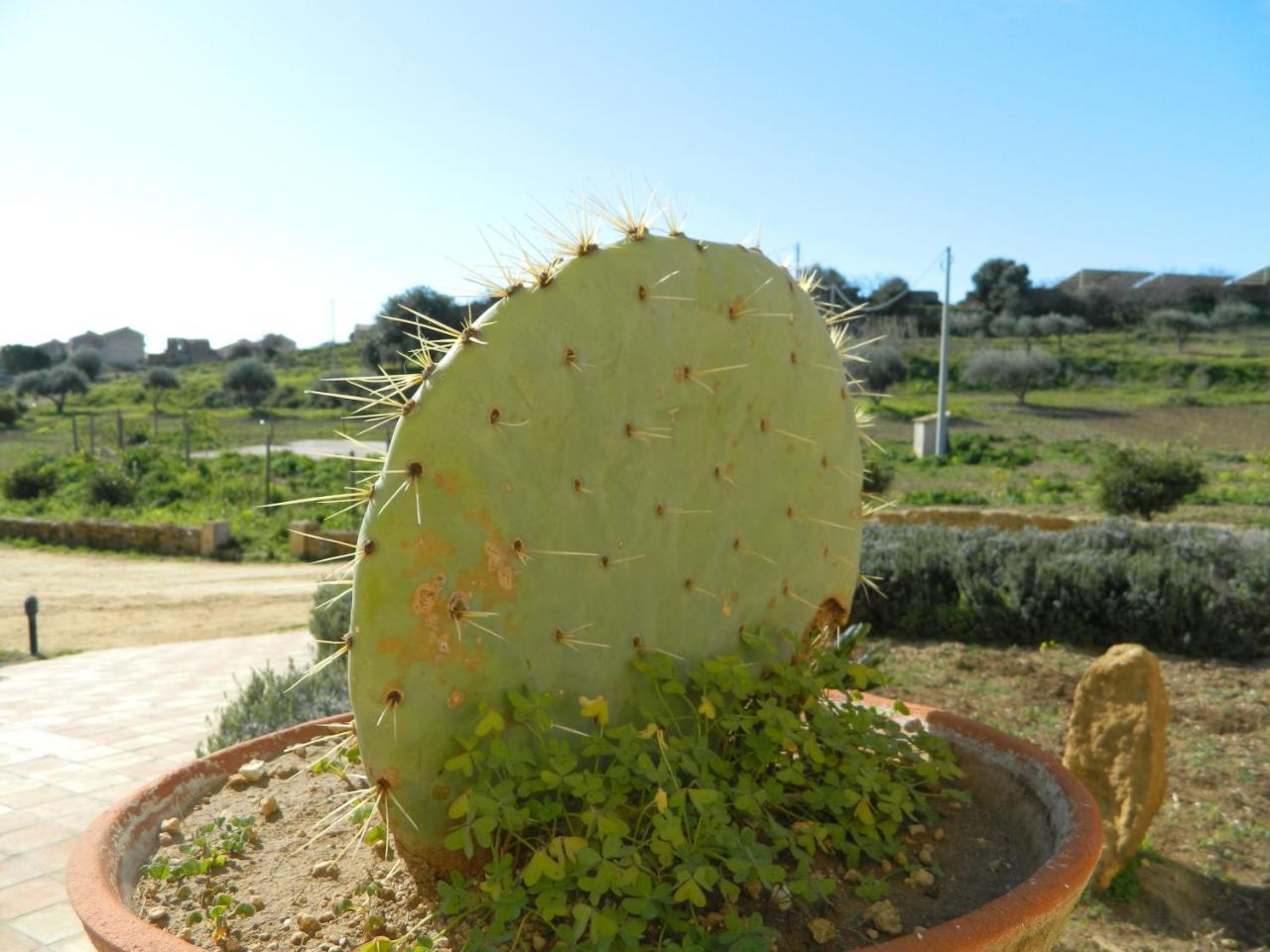 Agriturismo Passo Dei Briganti Agrigento Luaran gambar